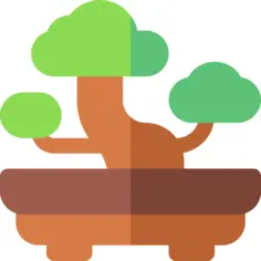 Bonsai
