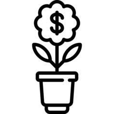 Growth