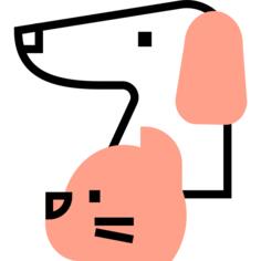 宠物