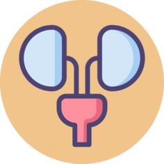 Urology
