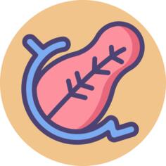 胰腺