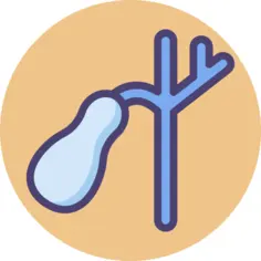 Gallbladder