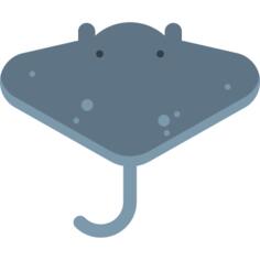 Ray