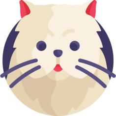 Persian cat