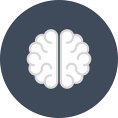 Brain
