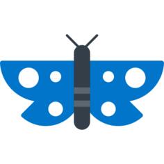 蝴蝶