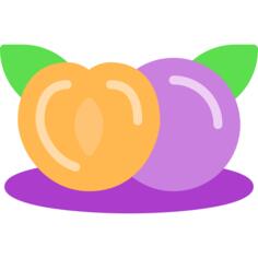 李子