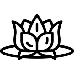 莲花