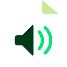 Audio file