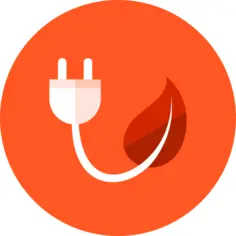 Plug