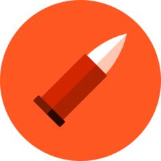 Bullet