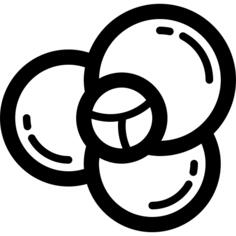 卷心菜