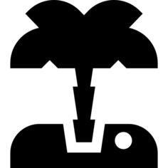 棕榈树