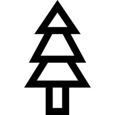 Pine