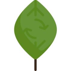 Ecology