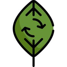 Ecology