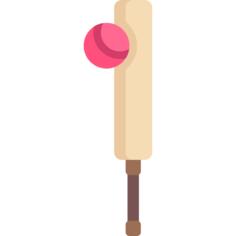 Cricket