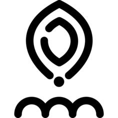 种子