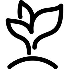 发芽