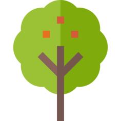 Fruit tree