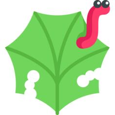 Worm