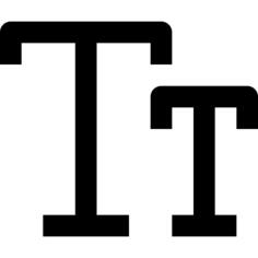Text