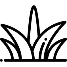 草