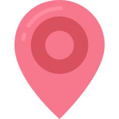 Pin