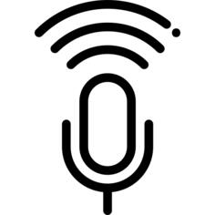 Voice