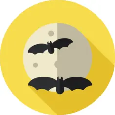 晚