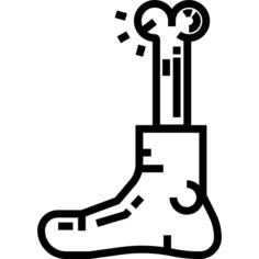 Feet