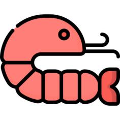 Shrimp