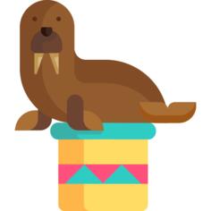 Walrus