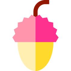 Lychee