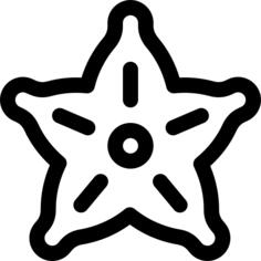 杨桃