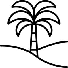 Palm tree
