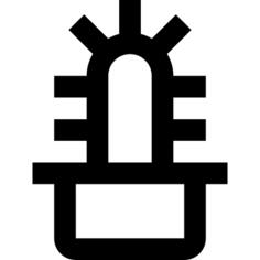 仙人掌
