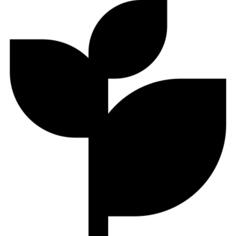 Branch