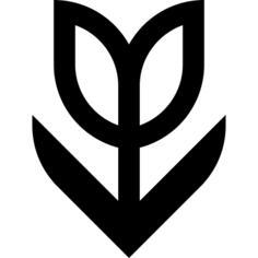 Tulip