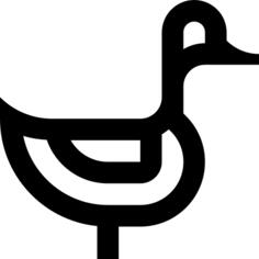 Duck