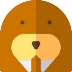 Walrus