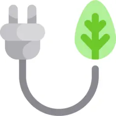 Plug