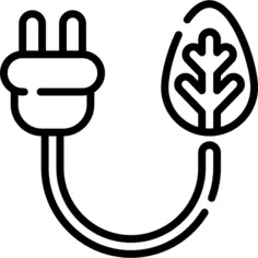 Plug