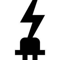 Plug