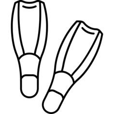 Fins