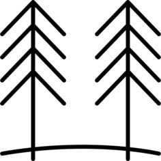 松树