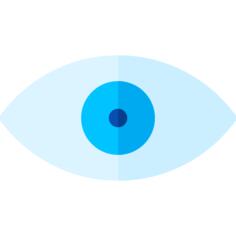 Eye