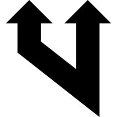 Bifurcation