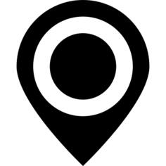 Pin