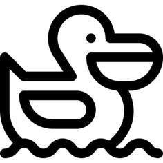 Pelican